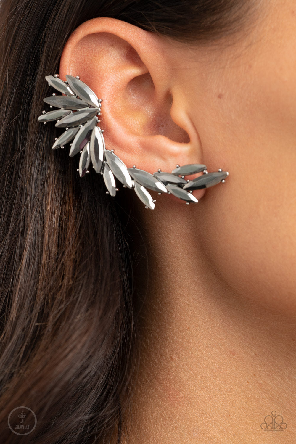 Because ICE Said So Earrings  - Silver